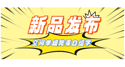汇建科技