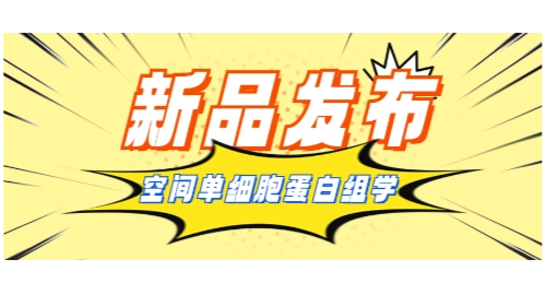 汇建科技