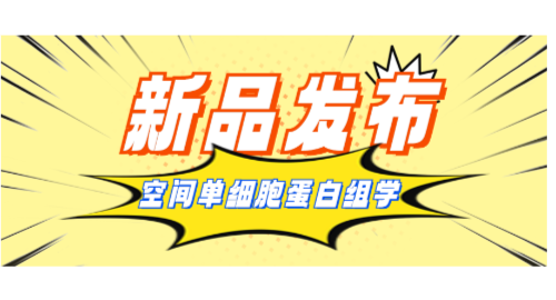 Huijian Technology