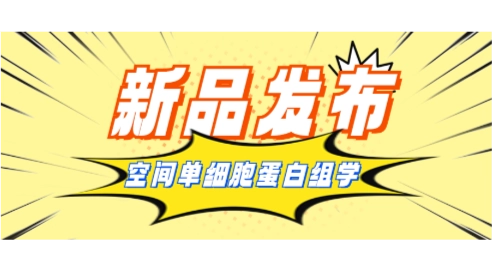 Huijian Technology